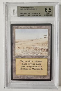 Elephant Graveyard Mtg | eBay