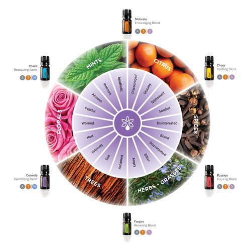 DOTERRA - YOU CHOOSE OPTIONS Essential Oils 5ml 10ml 15ml Sealed Bottles Rollers - Picture 84 of 377