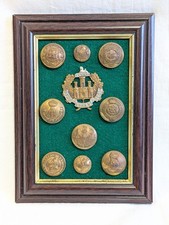 9 x Vintage Military Brass Buttons & Essex Regiment Cap Badge Mounted & Framed