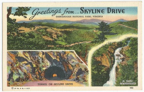 Skyline Drive Greetings Linen Vintage Postcard - Picture 1 of 2