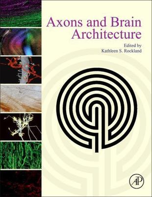 Axons and Brain Architecture by Kathleen Rockland (2015, Hardcover)