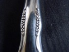 Bild 6 von 7