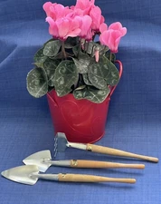 Mini Garden Tool Set Indoor Plant Care Great For Potted Plants Bonsai Window Box