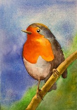 Robin Original Watercolour Painting  Fine Art 8 in x 11,5 in (Not a print)