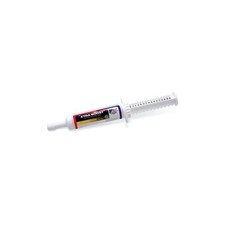 Equine America Xtra Boost Paste - Support Energy Levels