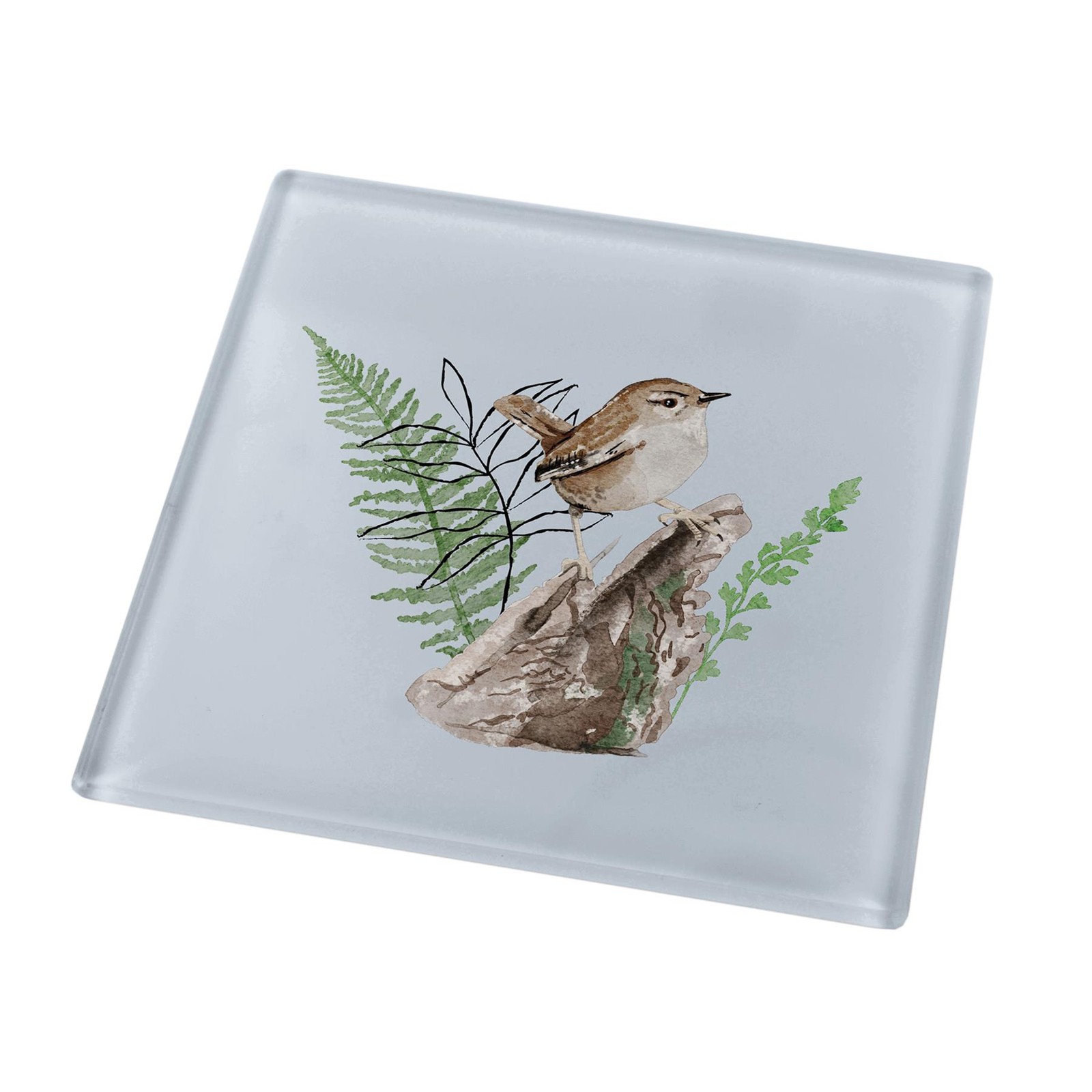 Wren Bird In Garden on Blue Square Glass Smooth Coaster