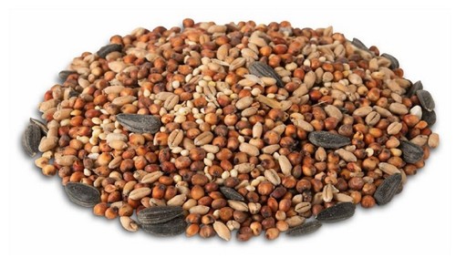 Royal Wing RWDWB-1 Pet Supplies 11 Pounds Splendid Seeds Blend Wild Bird Food - Picture 3 of 3