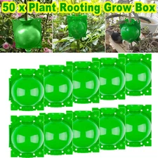 50 pcs Plant Growing Grafting Rooting Devices Box High Pressure Propagation Ball
