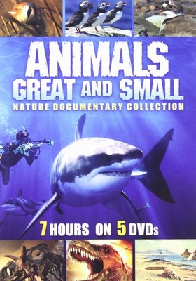 ANIMALS GREAT & SMALL DVD DVD (DVD) Iolo Williams Anna Meyer Evans Tyler Mauro