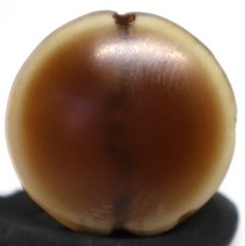 Genuine Ancient Banded Agate Stone Luk Mik Dzi Bead over 2000 Years Old