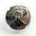 2021  AMERICAN SILVER EAGLE  1  OZ. FINE SILVER BULLION COIN 999  TYPE 2  BU-UNC