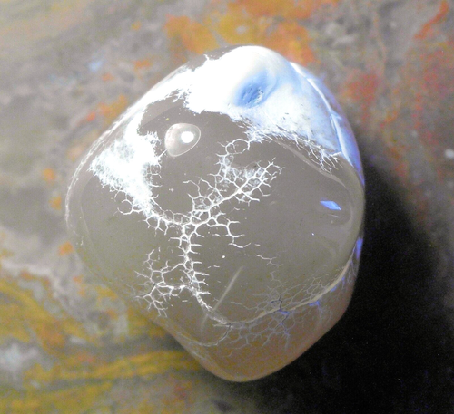 89.67cts NICE POLISHED SNAKESKIN AGATE 27 x 25 x 22 mm ROME OREGON # 5