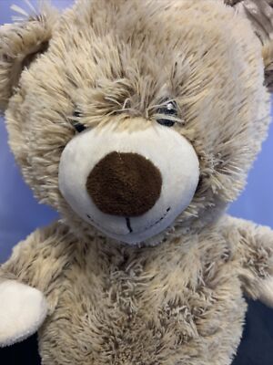 SPECTACULAR SOUND／THE TEDDY BEARS T.T. Talking Bear (Read-Along Book & Cassette) (80s Hong Da