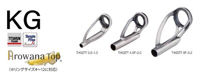 Guide De Scion Fuji T2-KGTT Taille 6F-2.6 - Bague Torzite Sur Cadre Titane X1