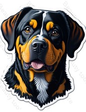 Rottweiler cute beautiful Sticker Grunge Vinyl Decal Car Truck