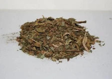 DEER TONGUE LEAF  Native American Botanical Healing Herb 1 Ounce Pack