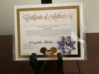 Disney movie club exclusive pin with certificate of authenticity olaf frozen — photo 1