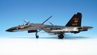 Hobby Master Shenyang J-11B Flanker-L PLAAF Peace Mission 2018 1/72 Scale HA6014 — photo 1