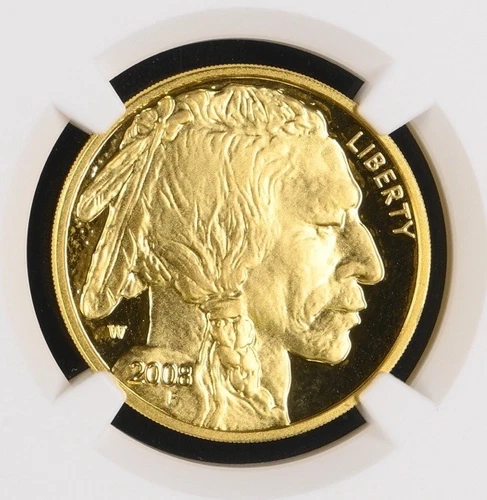2008 W GOLD USA $25 PROOF BUFFALO 1/2 OZ NGC PF 69 ULTRA CAMEO PF69 W/OGP COA