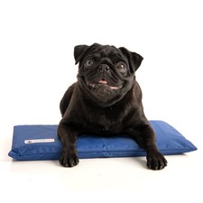 CoolerDog Hydro Cooling Mini Mat for Dogs Dog Cooling Mat Cooling Pad