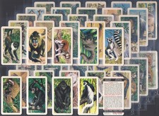 BROOKE BOND (TEA)-FULL SET- (CANADA) AFRICAN ANIMALS 1964 (48 CARDS)EXCELLENT+++