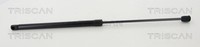 HeckklappendäMpfer, KofferraumdäMpfer Triscan 8710 292050 Skoda 6V9 827 550
