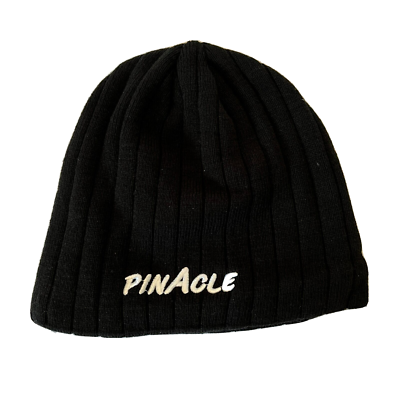 Beanie Hat Ajm Toques AJM International Pinacle Ribbed Knit Fleece