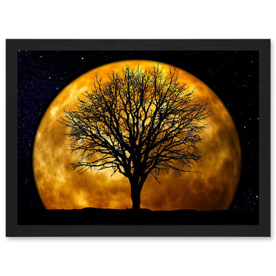 Fotokomposition Natur Silhouette Mond Stern Baum gerahmt A4 Wandbild Kunstdruck