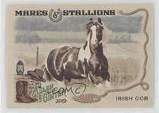 2019 Topps Allen & Ginter Mares and Stallions Irish Cob Horse #MS-13 0w7