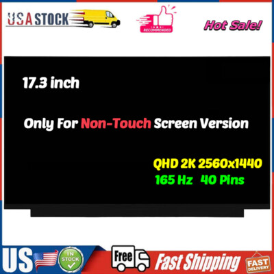 NE173QHM-NY5 NE173QHM-NY4 NE173QHM-NY6 NE173QHM-NYY7 LCD Screen 17.3'' QHD 165Hz