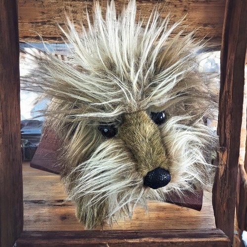 VTG Folkmanis Hand Puppet Shaggy Dog Hand Functional Mouth Large Realistic 3104 - Picture 4 of 12