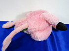 Bild 10 von 10