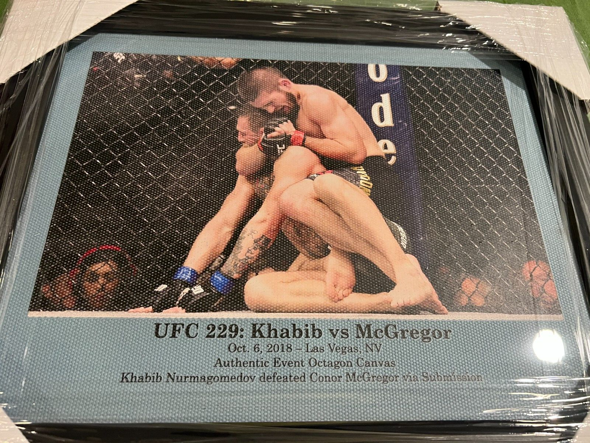UFC 229 : Khabib vs McGregor - MMA
