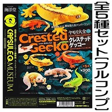 capsuleQ Gecko Encyclopedia 2 Crested Gecko Complete set of all 5 types