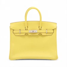 Hermès Birkin 25 Le Tournay Verso Taurillion Novillo lime x blue blue Silver Met