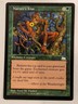 Nature's Kiss - Weatherlight - Magic the Gathering MTG Nice!