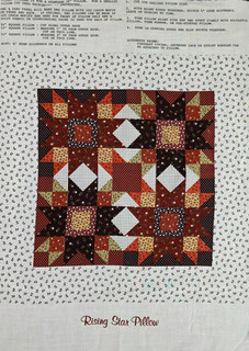 Rising Star Fabric Pillow Panel Brown Hues Floral 17" x 22" Vintage 1970s