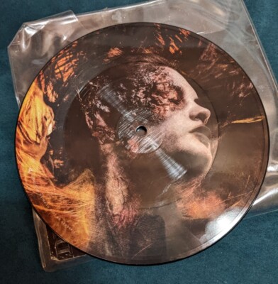 Disturbed - Inside the Fire / Perfect Insanity 45rpm Picture Disk 7 inch