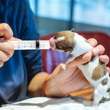 5/10/20/30ML Odżywka Sterylna strzykawka Narzędzia pomiarowe E4B4