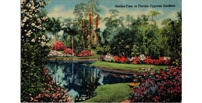 Floridas Cypress Gardens Azalea-Time Postcard 1946 Curt Teich Linen 6B-H1027