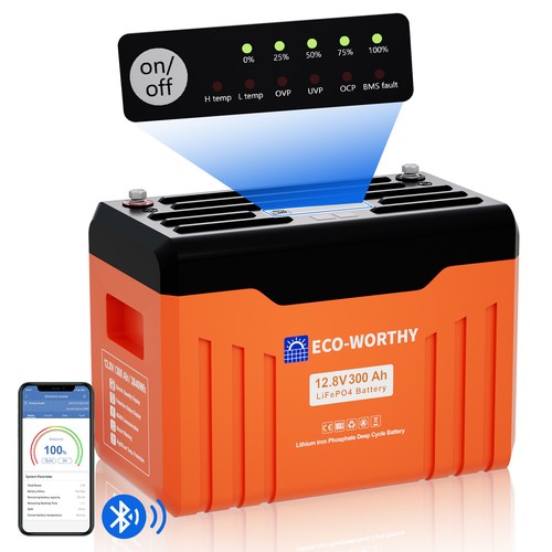 12V 300Ah Bluetooth LiFePO4 Lithium Batterie Statusanzeige mit led light 7680WH