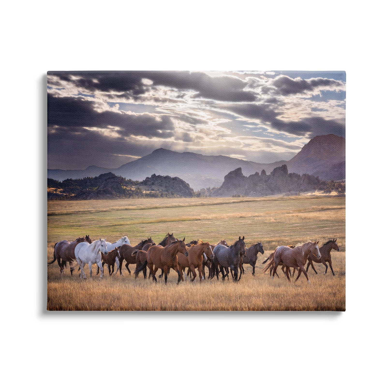 Galloping Horses Cloudy Mountains Canvas Wall Art by PHBurchett