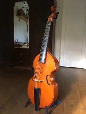 Viola da Gamba, Bass Viol, Bassgambe, Gambe