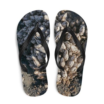 Flip-Flops barnacles ouch :) photo design made to order flipflops