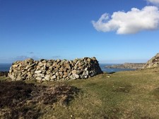 Photo 12x8 Sheep Shelter Trefasser Circular enclosure, presumably to give  c2017