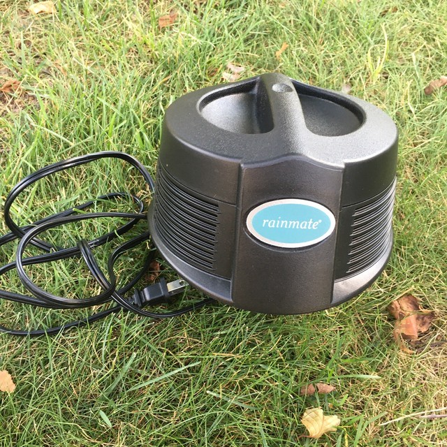 1001 carpet shampoo b&m