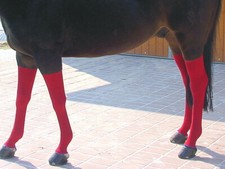 DEBO-Kompressionsstr&uuml;mpfe f&uuml;r Pferde  Lymph&ouml;dem Elephantitis Lymphdrainage