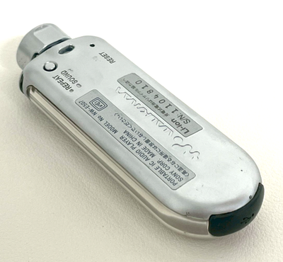 Sony Walkman NW-E507 Silver ( 1 GB ) Digital Media Player for sale