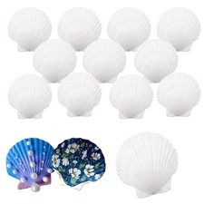 IOPJLK Weiß Jakobsmuschel 12 Stück Natürliche Deko Muscheln Groß Muschelschal...