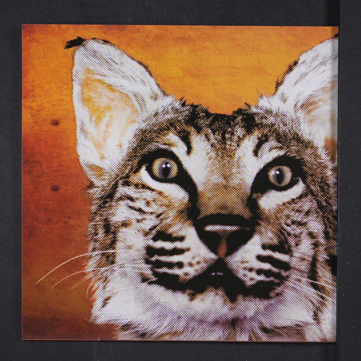 超激レア★帯付き★CD★CANTA ★Green Horn GREENHORNES: saying goodbye / song 13, stay together THIRD MAN 7